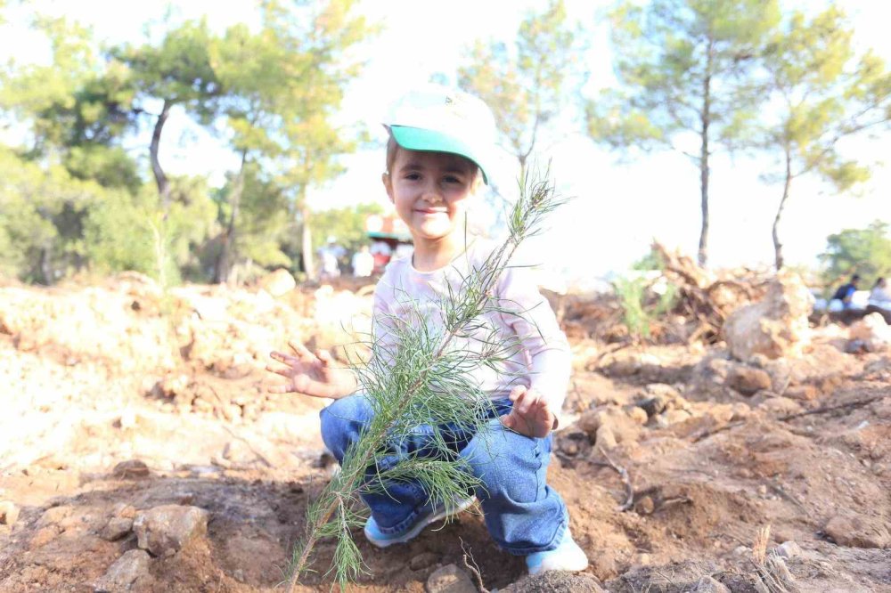 Ormana umut diktiler