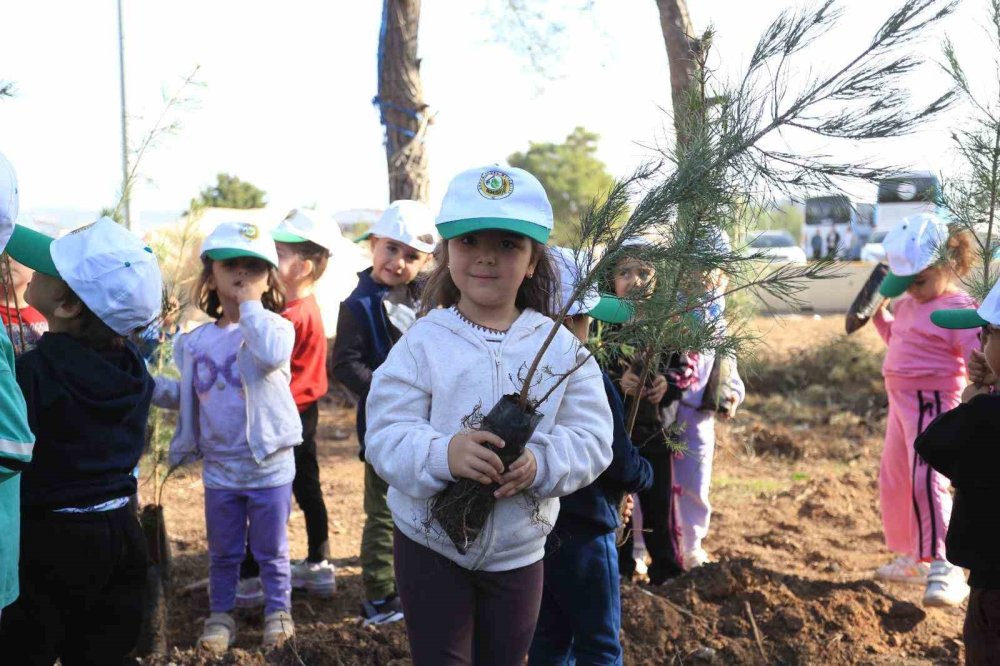 Ormana umut diktiler