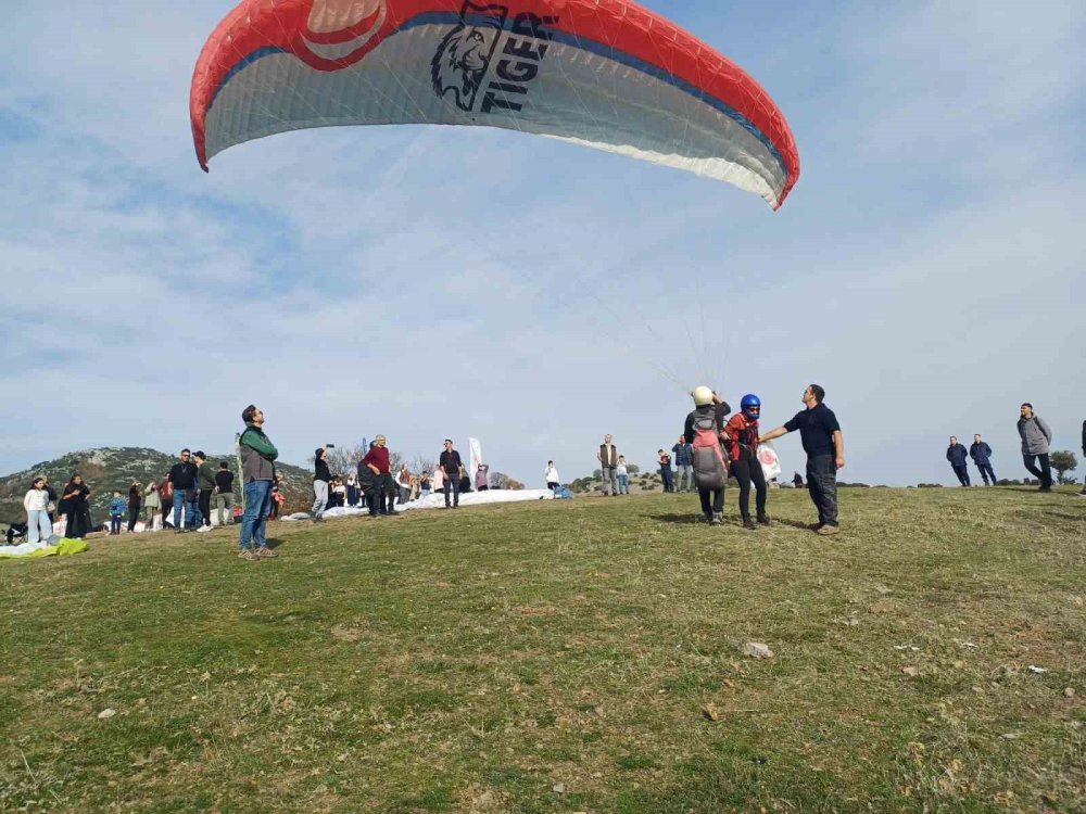 Yanan ormanlar için gökyüzünden tohum yağdı