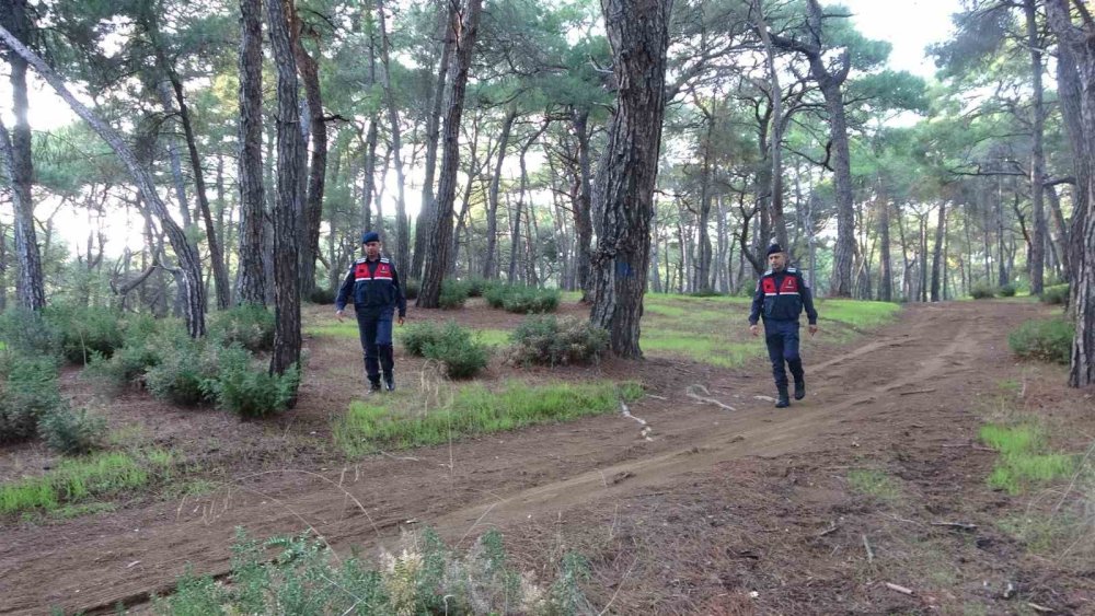 Jandarmadan ormanlık alanlarda mangal ve ateş nöbeti