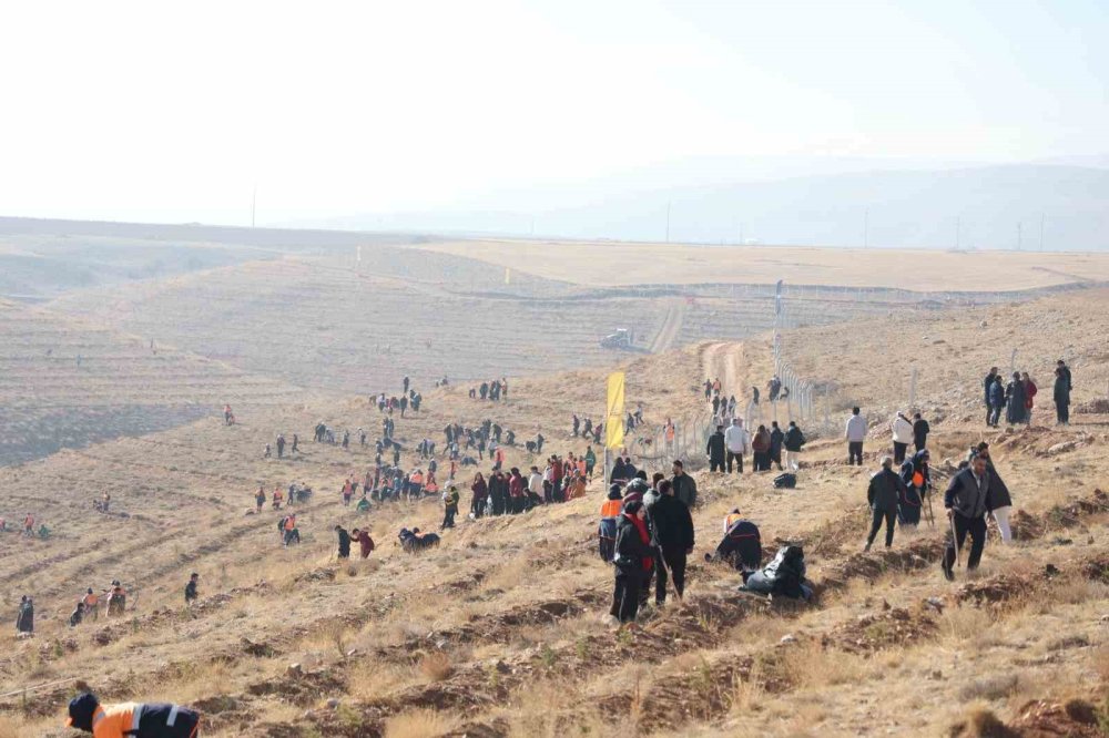 Konya'da Büyük Ağaçlandırma Hamlesi: 15 Bin Fidan Dikildi