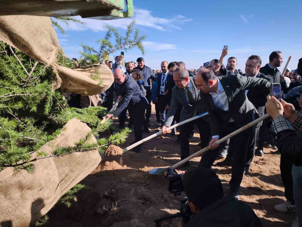 Konya'da Büyük Ağaçlandırma Hamlesi: 15 Bin Fidan Dikildi