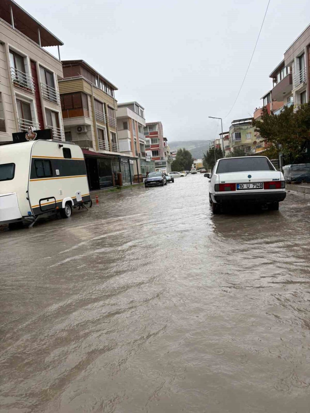 Foça ve Dikili'de bereket her yeri doldurdu! Yüzler gülüyor