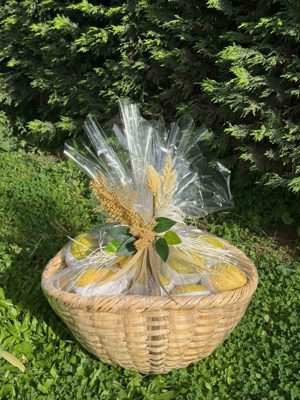 Papa'ya 3 tescilli sepet