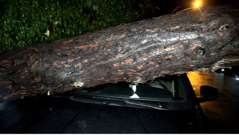 Gece gündüz oldu, yağmur ve fırtına ağaç devirdi