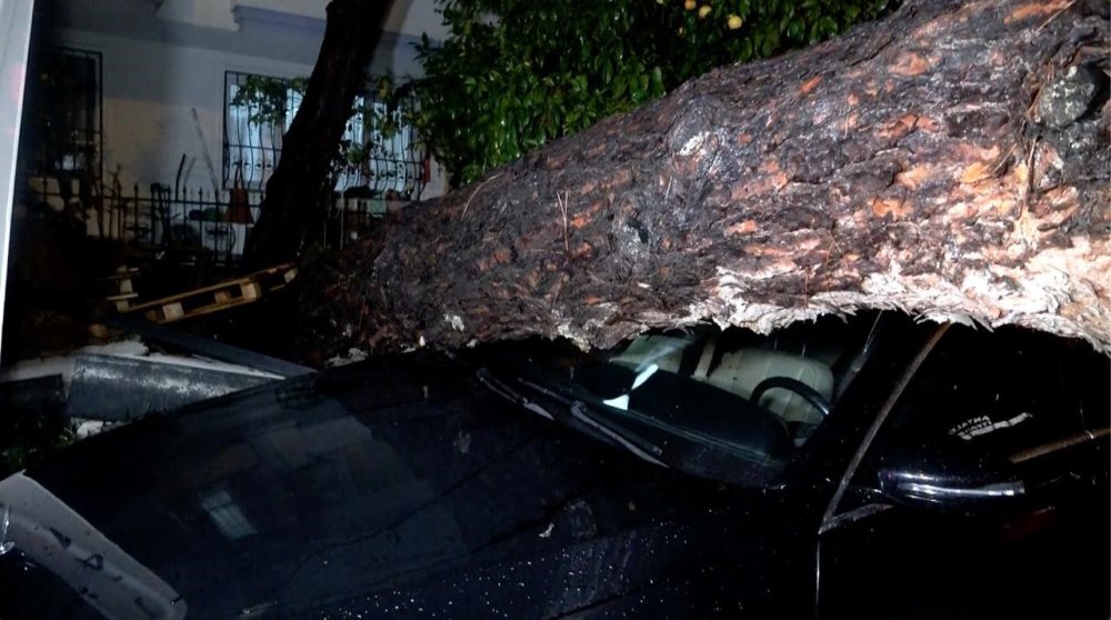 Gece gündüz oldu, yağmur ve fırtına ağaç devirdi