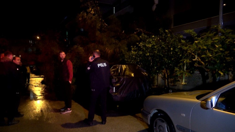 Gece gündüz oldu, yağmur ve fırtına ağaç devirdi