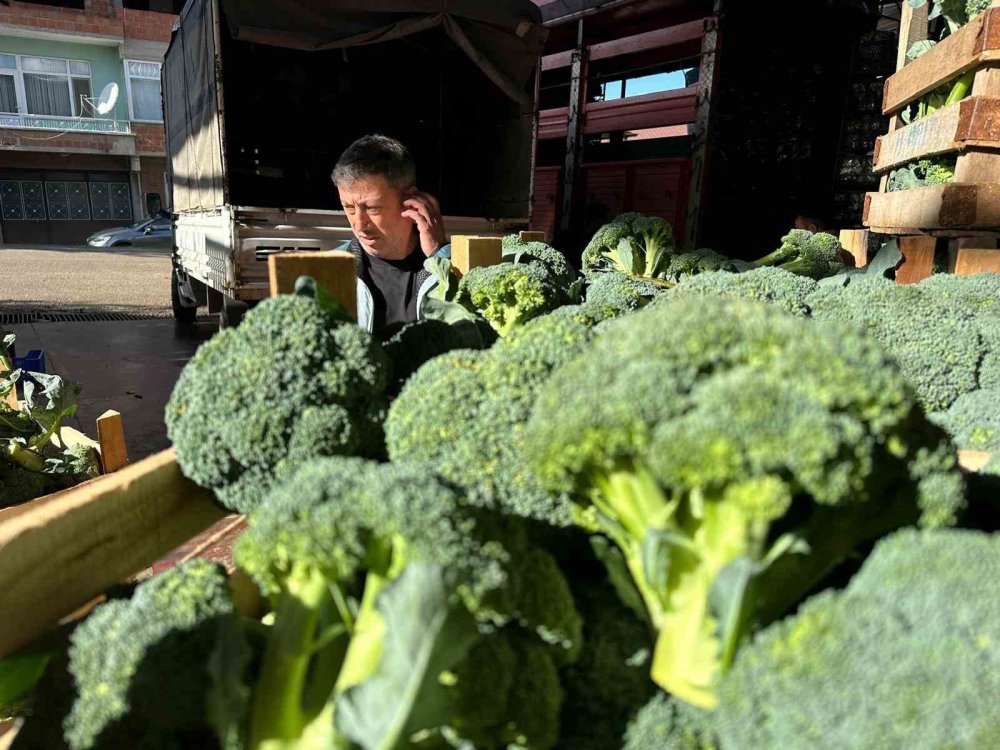 Brokolide Fahiş Fiyat Farkı: Tarladan Sofraya 14 Kat Artış!