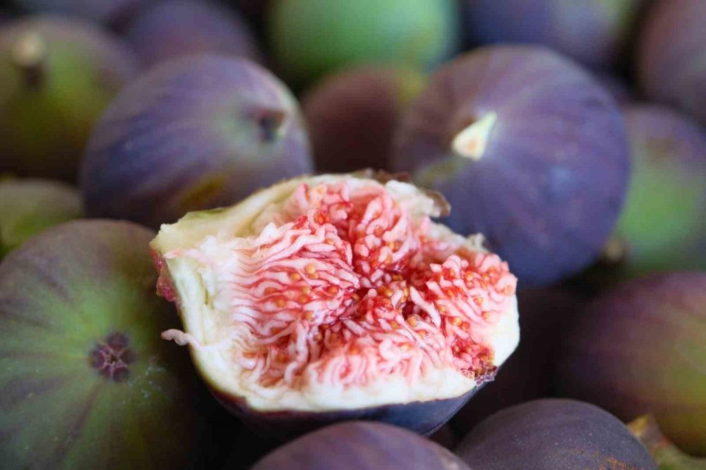 Coğrafi İşaretlerde Hedef 2 Bin Tescil: İlk Ders Zilini MEB Çalıyor!