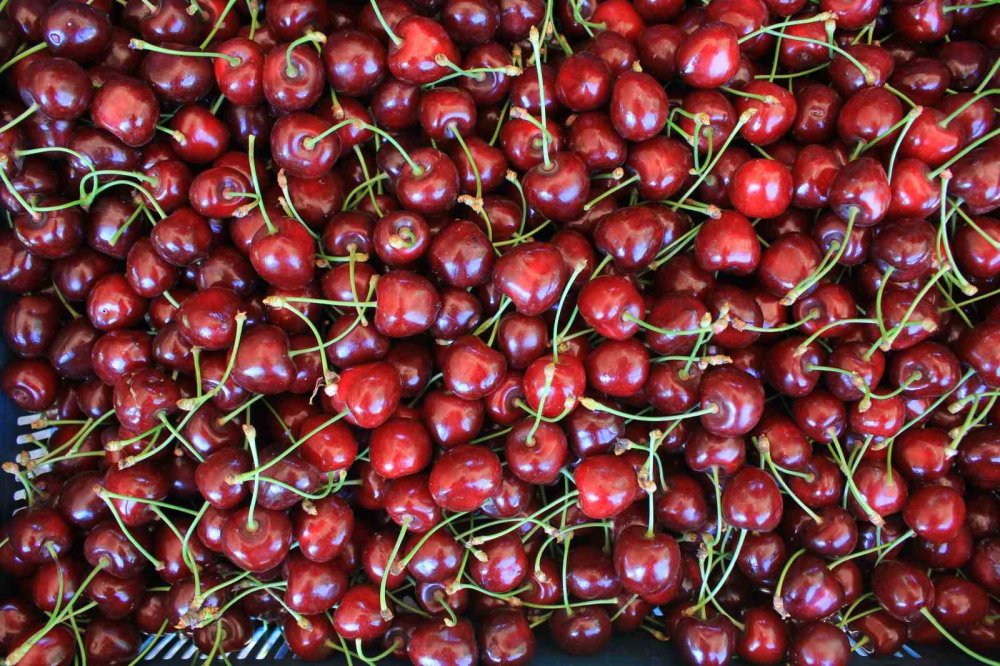 Coğrafi İşaretlerde Hedef 2 Bin Tescil: İlk Ders Zilini MEB Çalıyor!