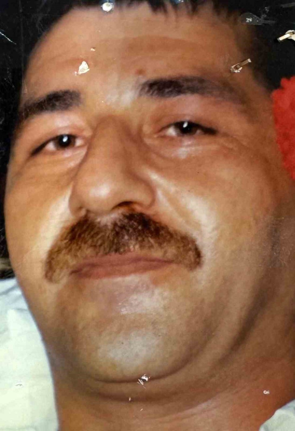 Banttaki parmak içi çözüldü: 19 yıllık domuz bağı cinayeti aydınlatıldı