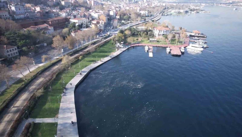 Balıkçılar İsyanda: Ağlara Balık Değil, Çöp Takılıyor