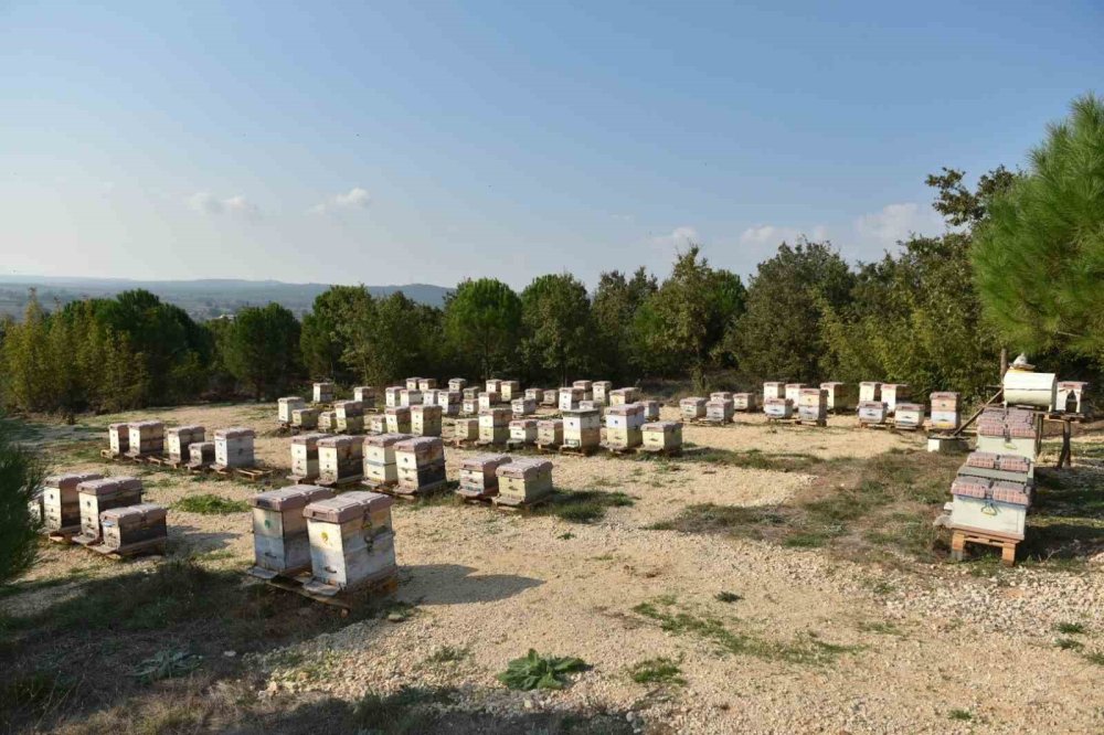 Gerçeği 10 ton, sahtesi 100 ton