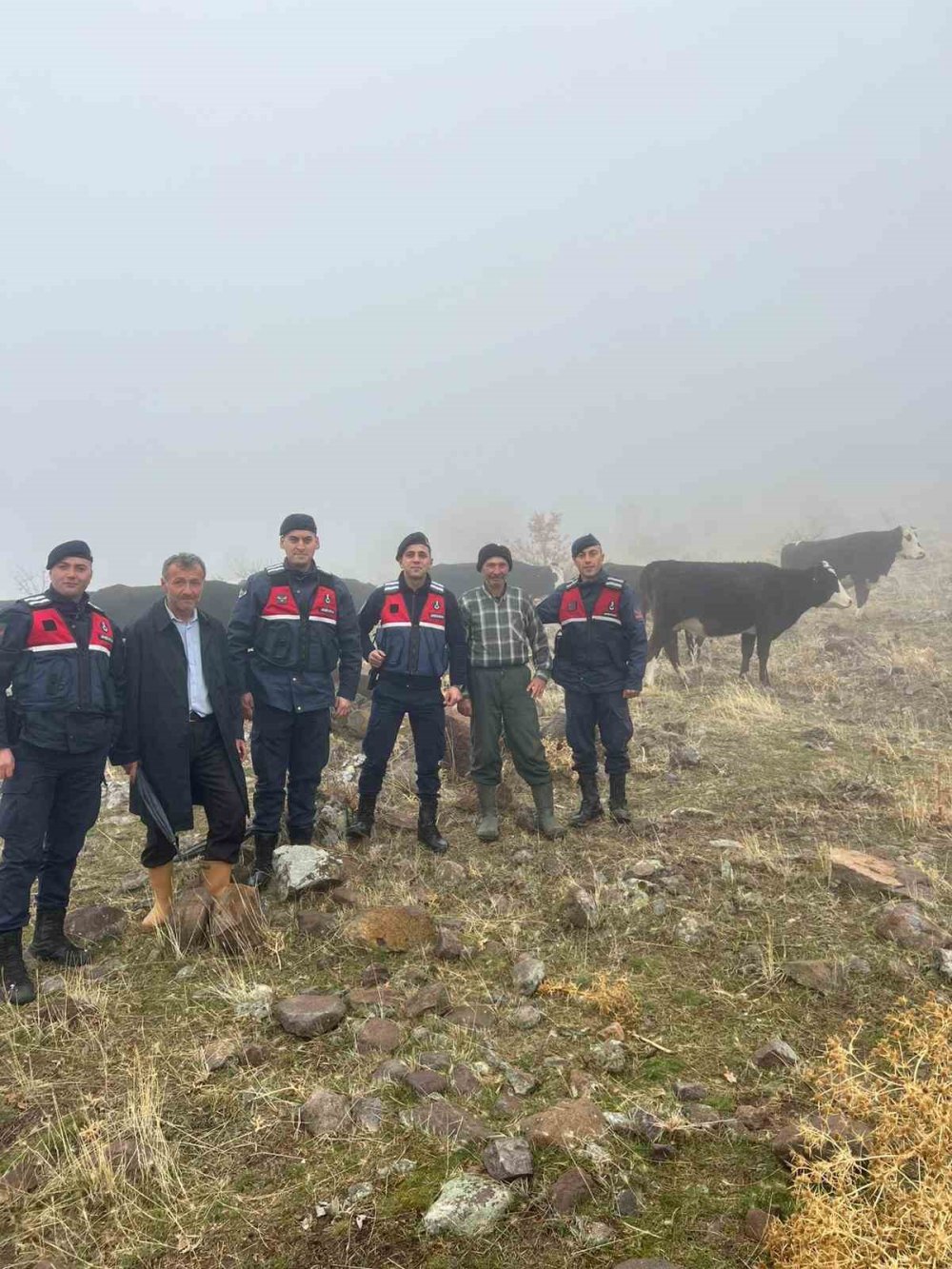 Seydişehir'de kaybolan büyükbaş hayvanlar Anamur Yaylası'nda bulundu
