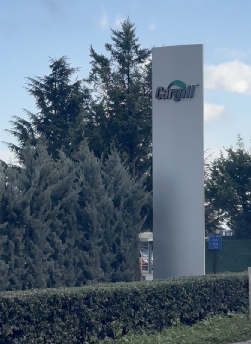 İznik Gölü küçülüyor: Cargill’in su kullanımı yeniden gündemde