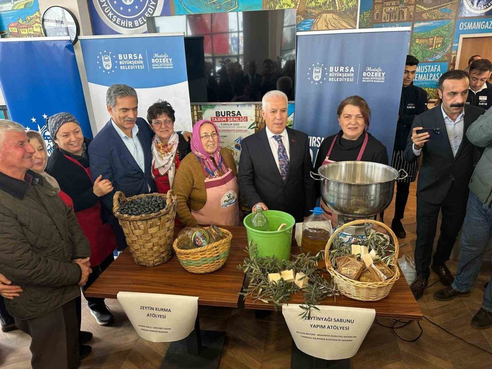 Konya kadar Hollanda tarımda dünya devi oldu: Biz neden yapamıyoruz?