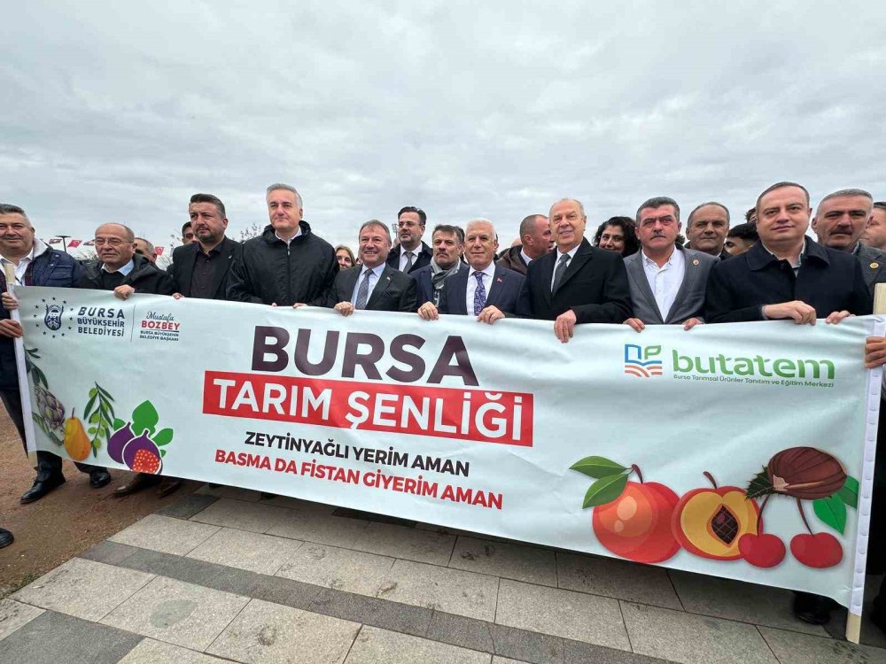 Konya kadar Hollanda tarımda dünya devi oldu: Biz neden yapamıyoruz?