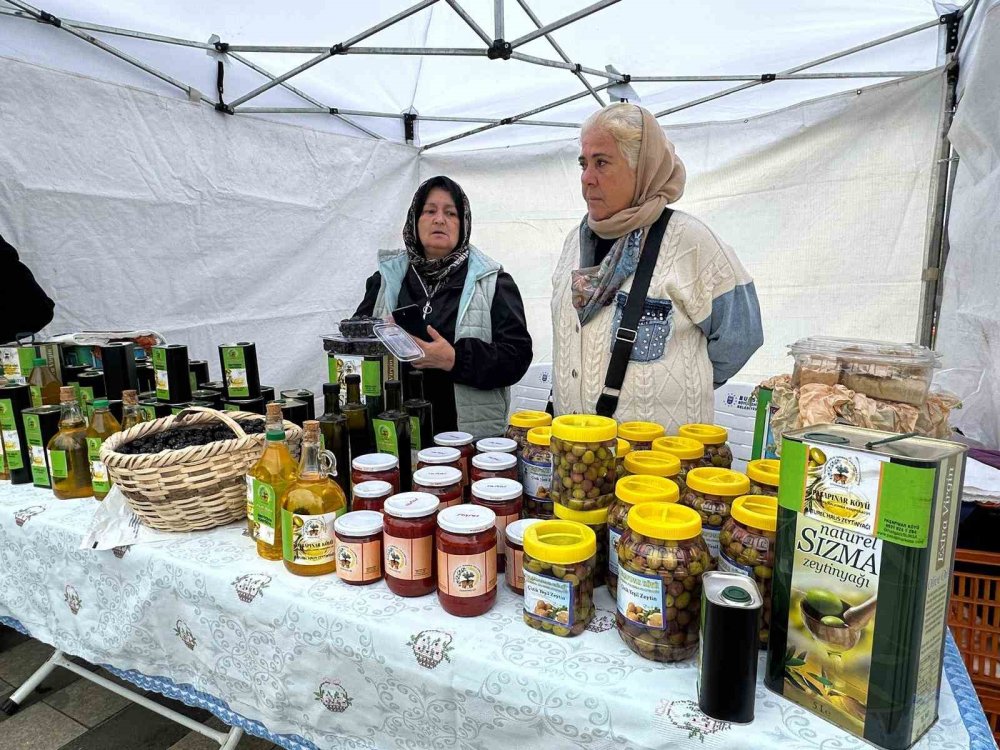 Konya kadar Hollanda tarımda dünya devi oldu: Biz neden yapamıyoruz?