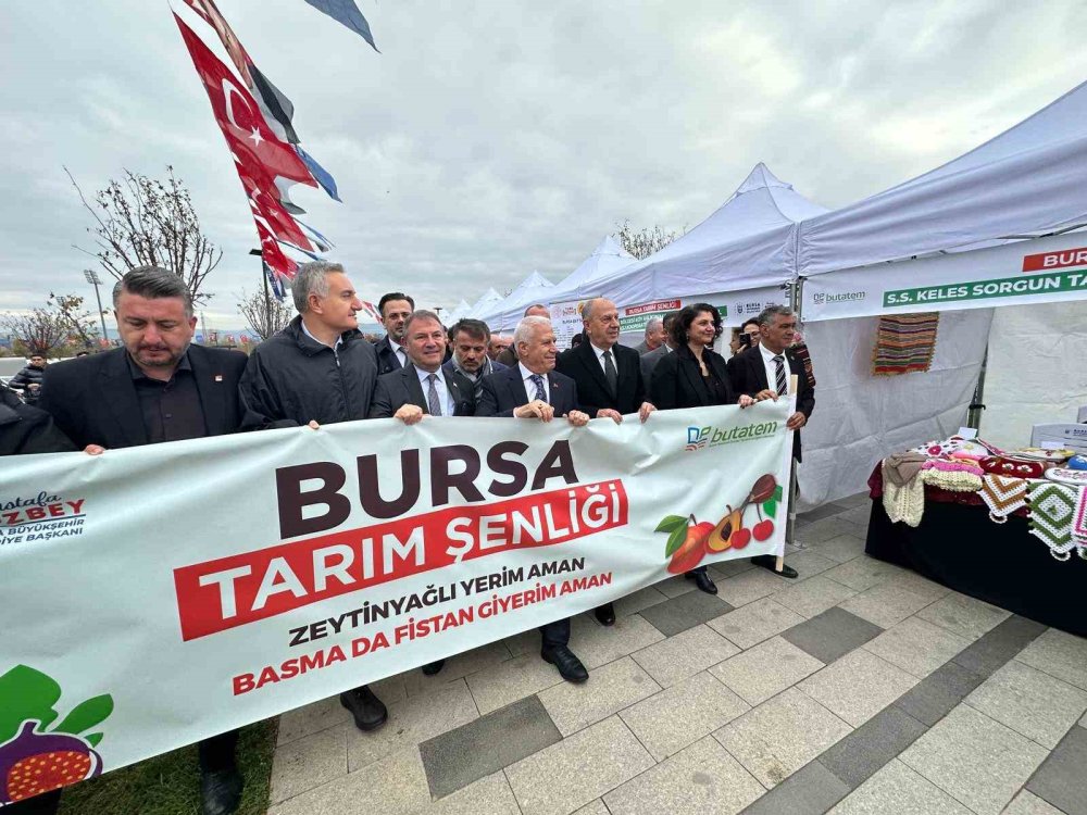 Konya kadar Hollanda tarımda dünya devi oldu: Biz neden yapamıyoruz?