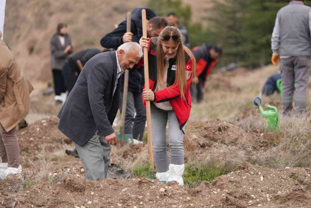 TUSAŞ şehitleri anısına binlerce fidan toprakla buluştu
