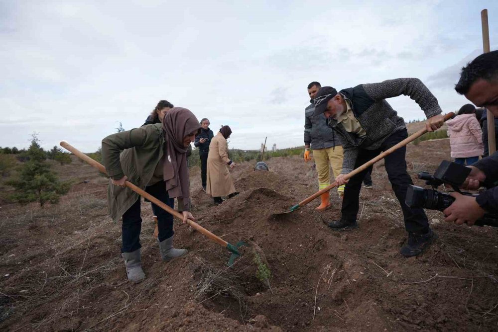 TUSAŞ şehitleri anısına binlerce fidan toprakla buluştu