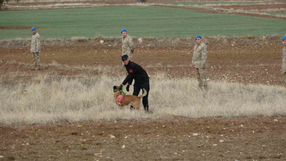 Başsız cinayette yeni görüntüler ortaya çıktı