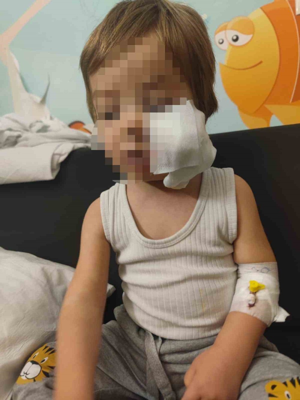 Pitbullun saldırdığı küçük Efe taburcu oldu