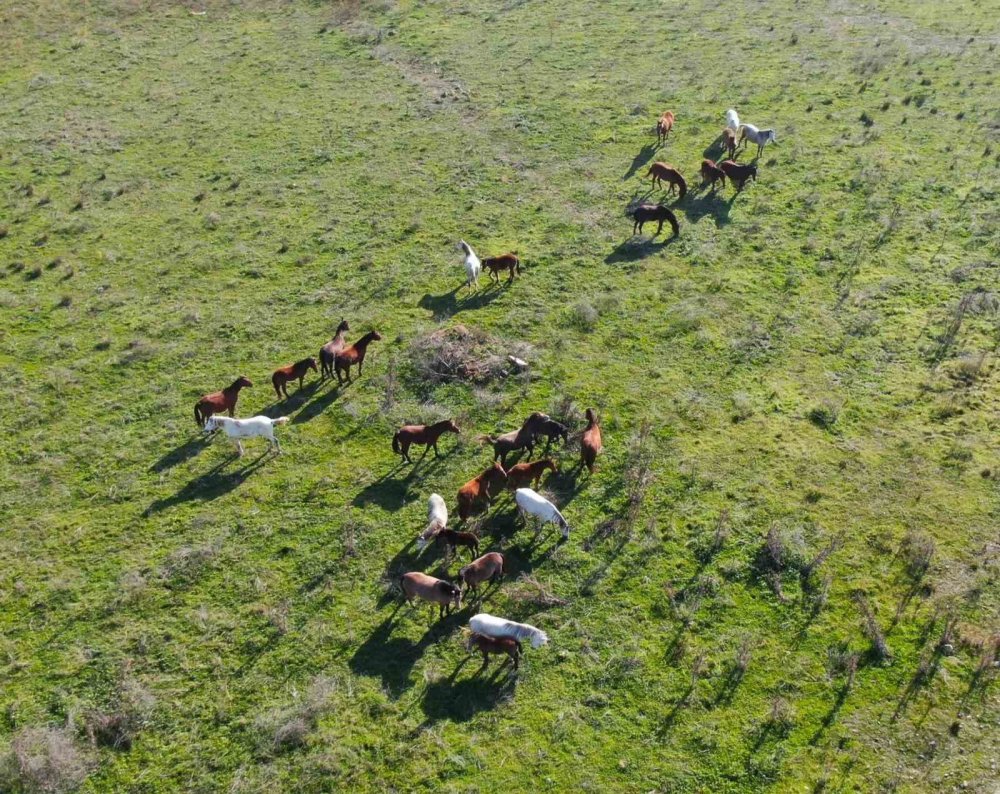 Su alarmı büyüyor: Kesintiler artık her gün uygulanacak