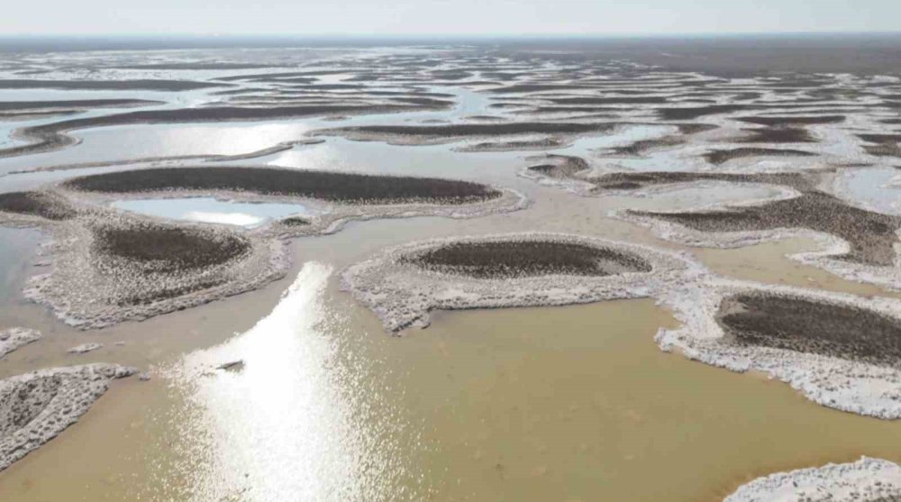 Flamingolar da Konya'ya küstü