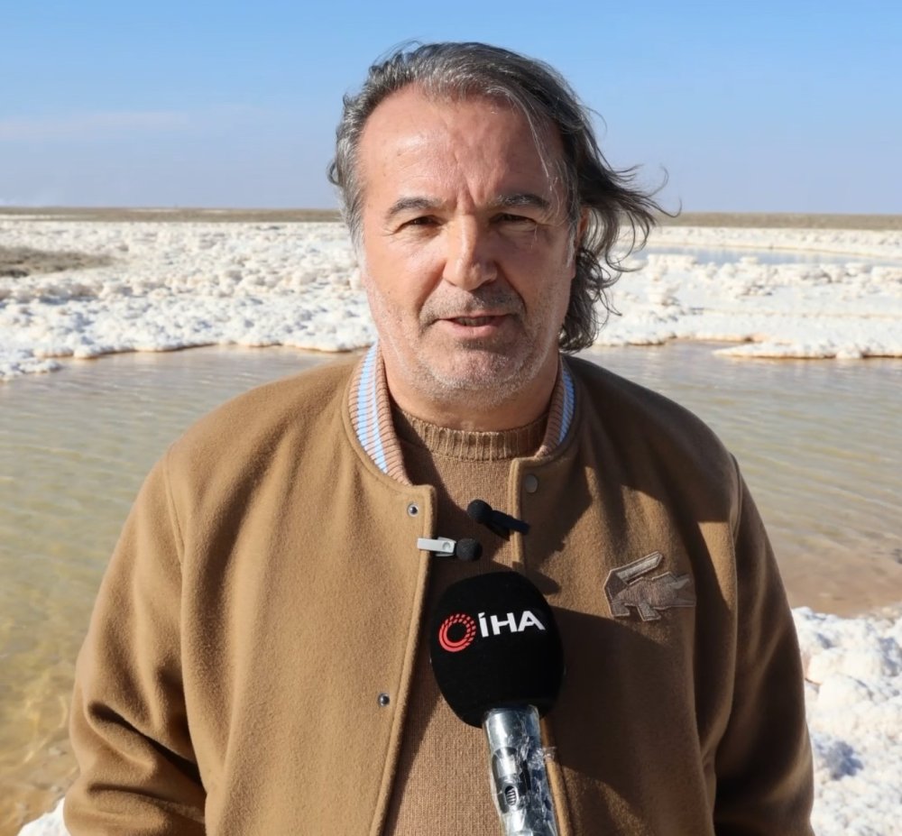 Flamingolar da Konya'ya küstü