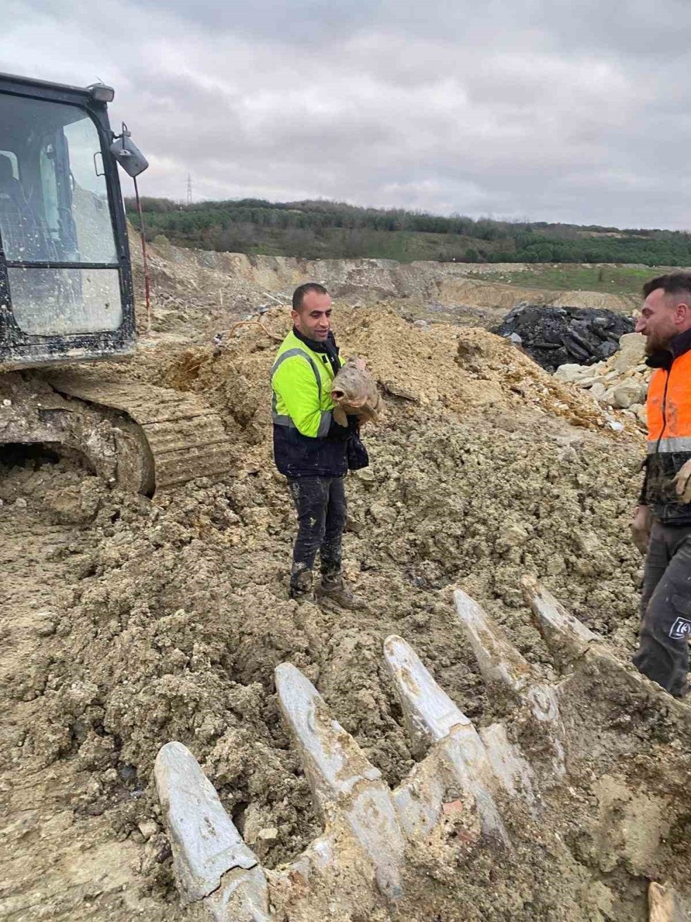 İBB'nin Doğa Katliamında Binlerce Balık Öldü