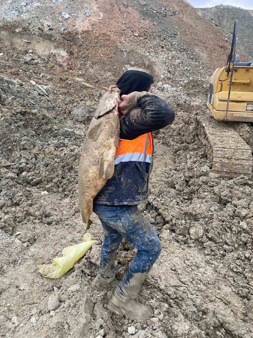 İBB'nin Doğa Katliamında Binlerce Balık Öldü