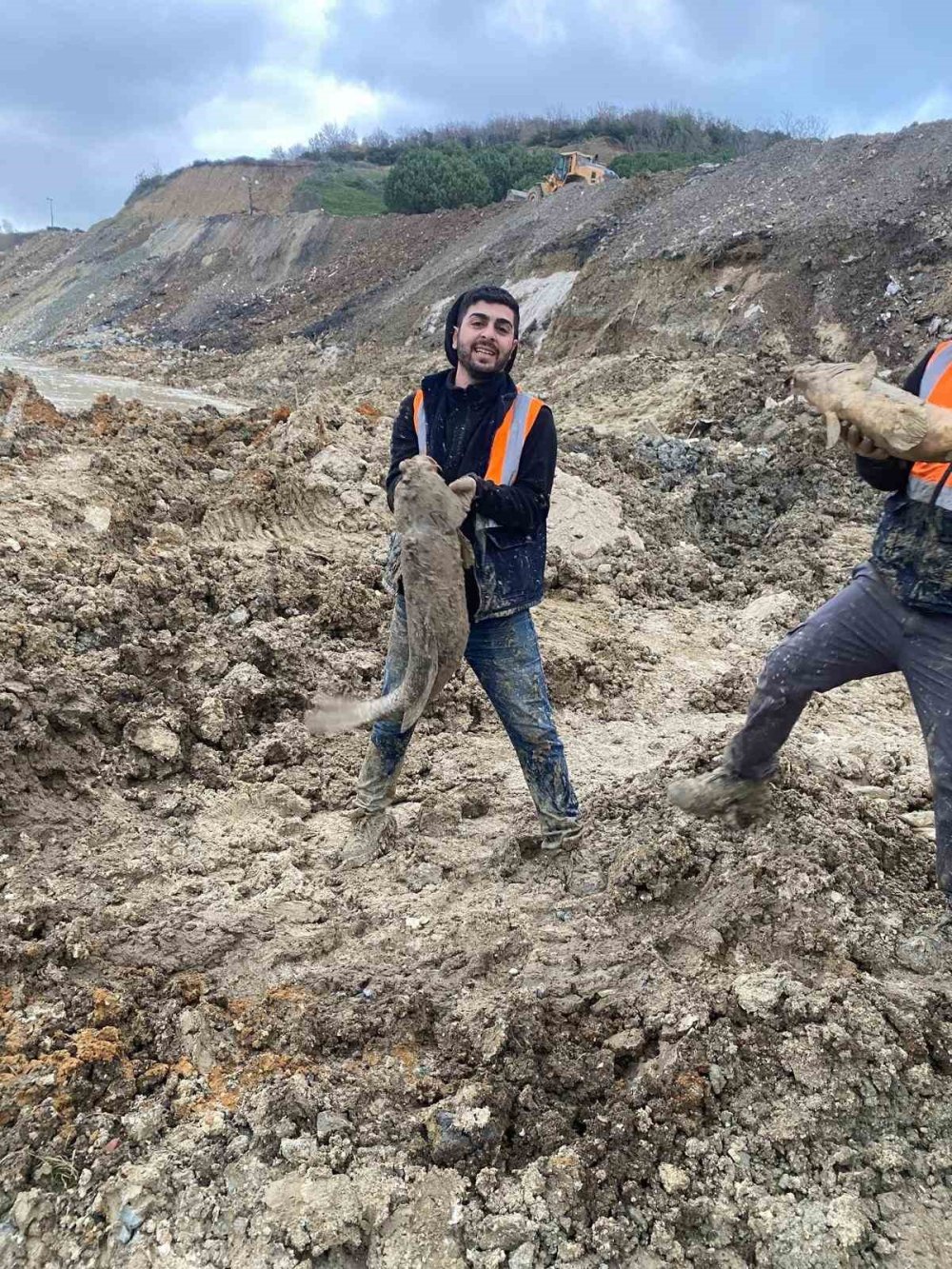 İBB'nin Doğa Katliamında Binlerce Balık Öldü