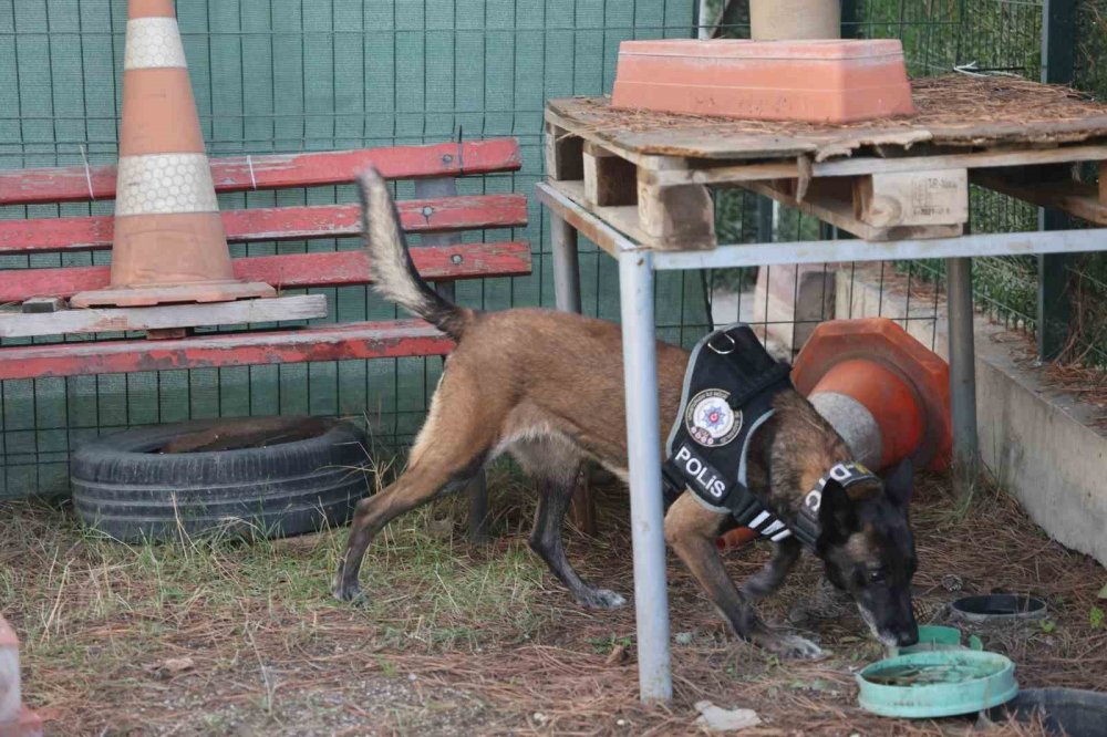 Konya'da zulaları bu dörtlü patlattı