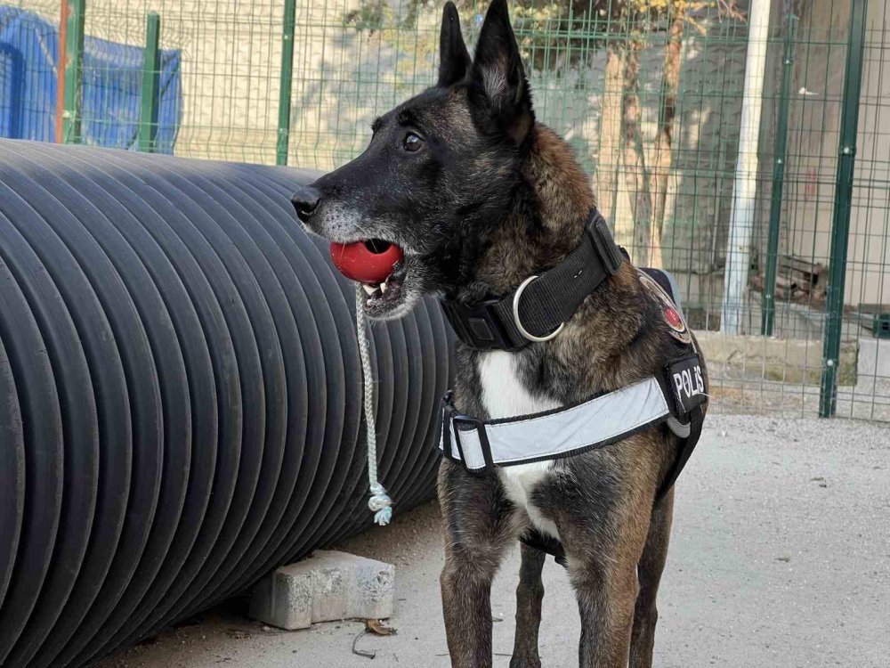 Konya'da zulaları bu dörtlü patlattı