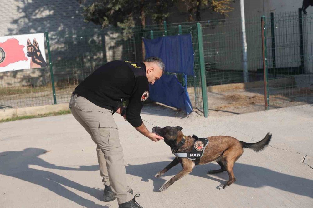 Konya'da zulaları bu dörtlü patlattı