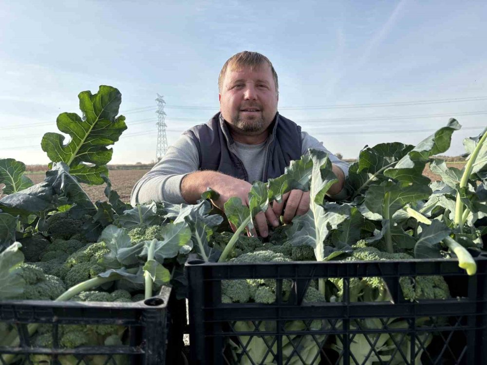Yeşil altında da ezilen üretici oluyor! Tarlayla sofra arasında 4 kat fark