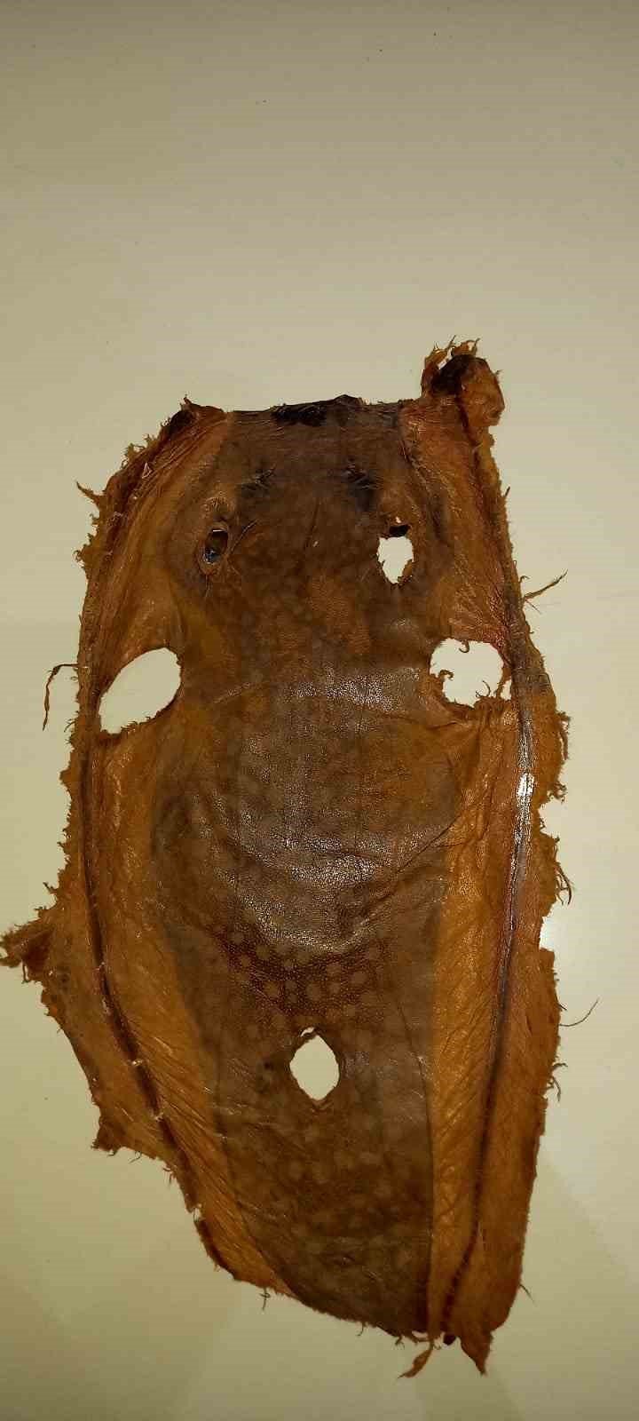 Alanya'da balon balığından ayakkabı ve çanta yaptılar yasaya takıldılar