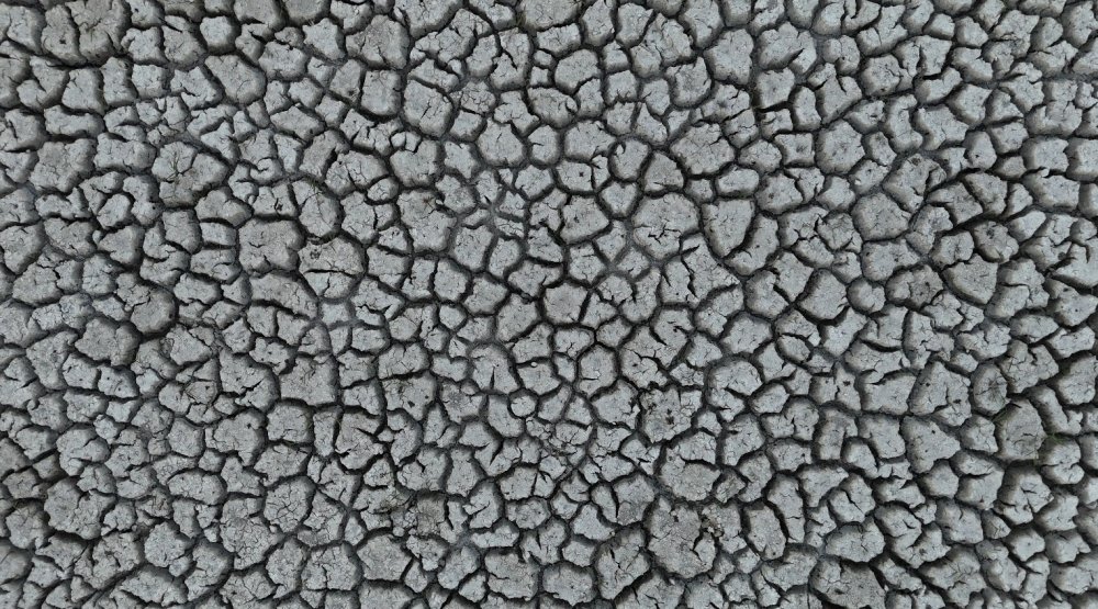 Kuraklık üretimi değiştirdi: Elmanın yerini zeytin ve vişne aldı