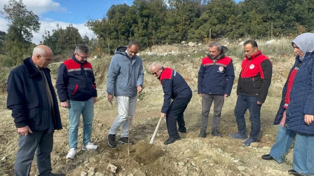 Kuraklık üretimi değiştirdi: Elmanın yerini zeytin ve vişne aldı