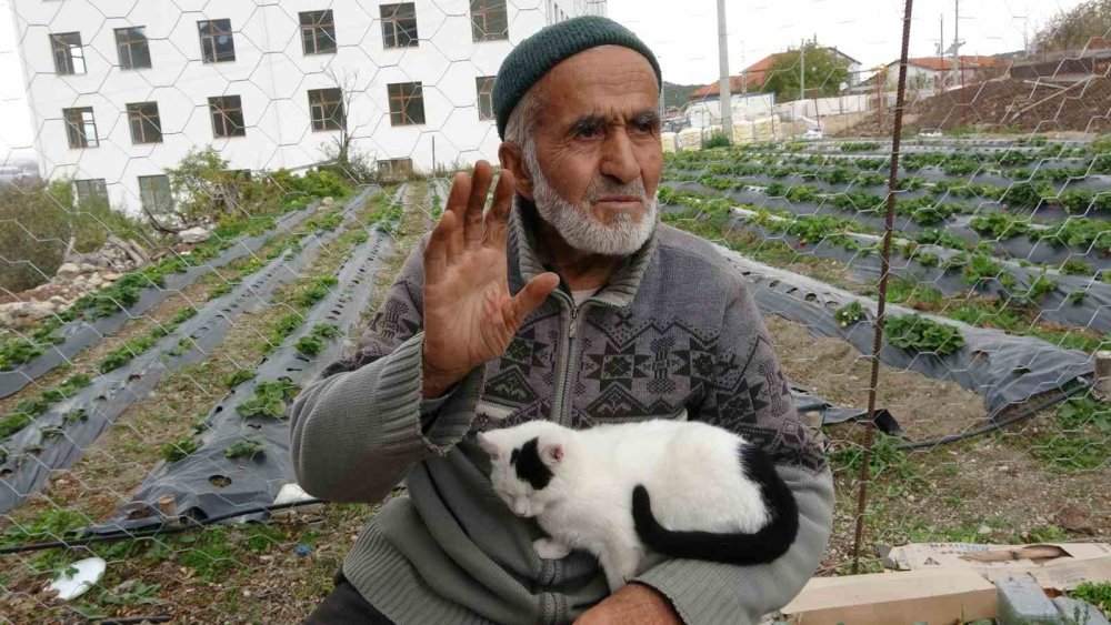 Türkiye onu yoldan geçenlere bahçesinden ikram ettiği meyvelerle tanıdı, acı haber geldi