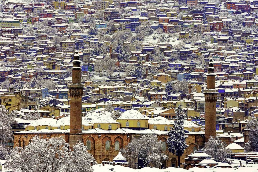 7 Bin Fotoğraf Arasından Seçildi: Türkiye’nin Viki Şampiyonu