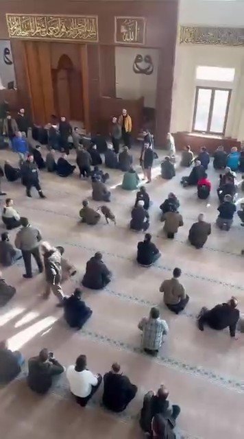 Camiyi birbirine katan pitbulun sahibine ceza yolda