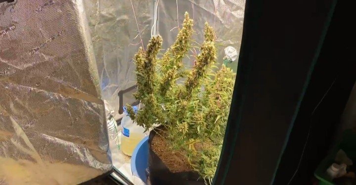 Bursa'da kapılar bir bir kırıldı