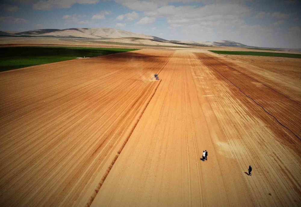 Hububatta Kritik Dönem! Konya Ovası’nda Yağışlar Yüzde 44 Azaldı