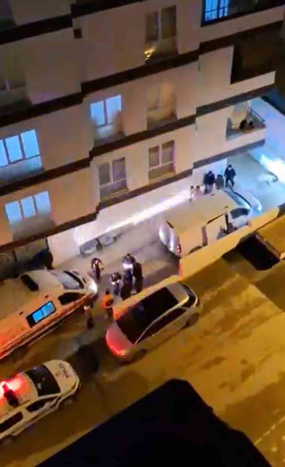 Sokakta Tehlike: Başıboş Köpekler Yaralanmalara Yol Açtı