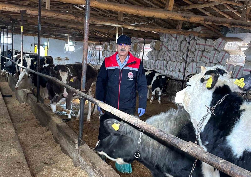 Konya'da 2 Hastalık Hedefte! Ekipler Hata İstemiyorlar