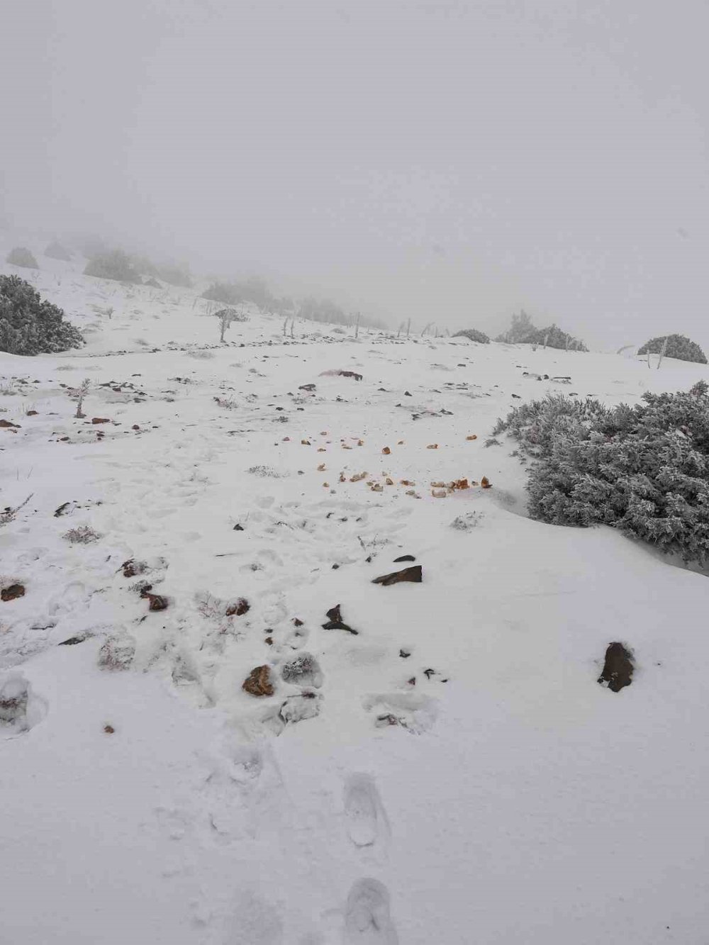 Konya'nın ilçeleri bereketle şenlendi