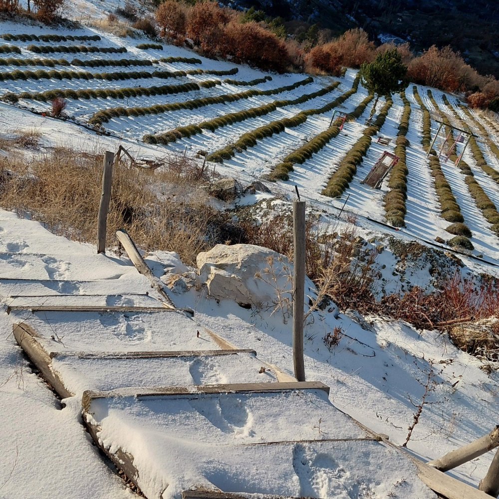 Derebucak’ta Kar Yağdı, Tarım ve Baraj Nefes Aldı