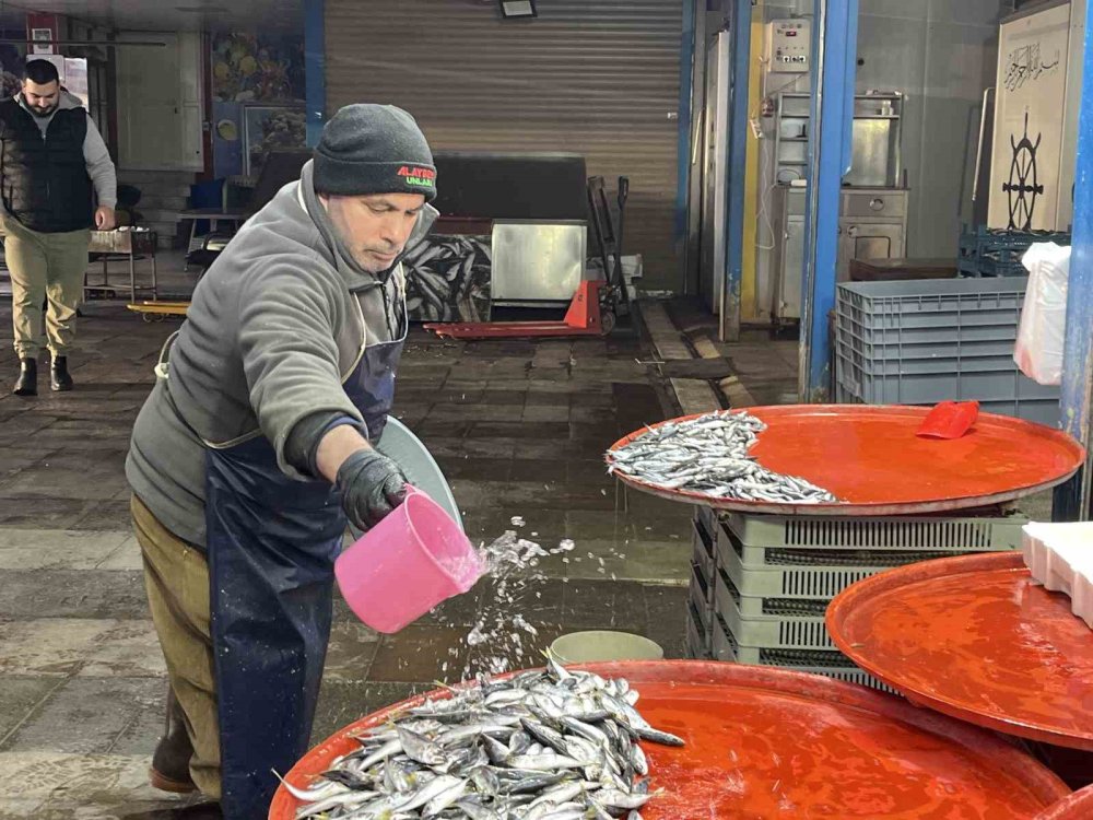 Geç Gelen Kış Hamsiyi Kaçırdı, Konya’da Tezgâhlar Daraldı